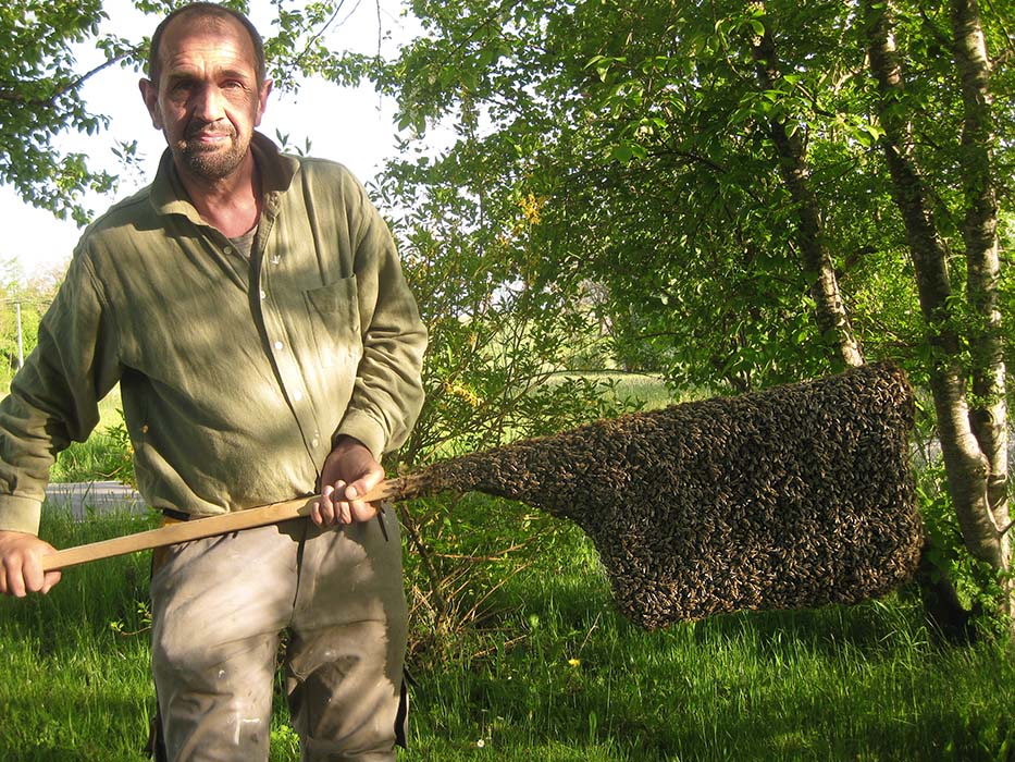 Imker seit seinem 18. Lebensjahr